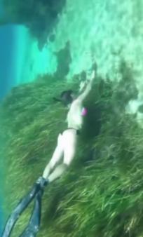 美丽海洋找不同